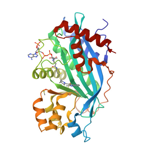 RCSB PDB - 6V8K: Crystal structure of the p300 acetyltransferase domain ...