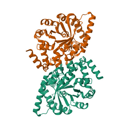 RCSB PDB - 6V9K: CRYSTAL STRUCTURE OF THE HYBRID C-TERMINAL DOMAIN 