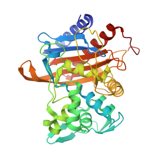 Pbp2 Structure RCSB PDB - 6VBL: Crystal structure of the transpeptidase domain of PBP2 ...