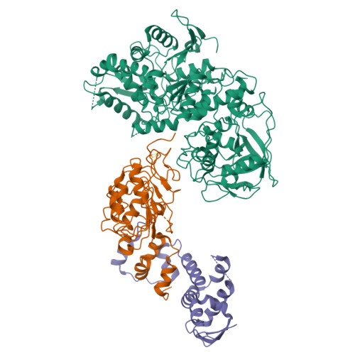 PDB 6VCD