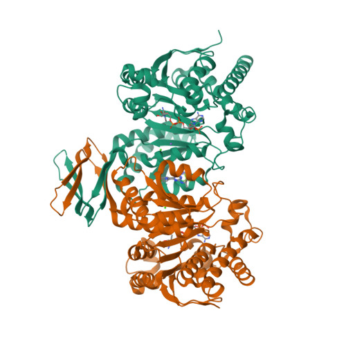 RCSB PDB - 6VFZ: Crystal Structure of Human Mitochondrial 