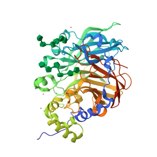 RCSB PDB - 6VHQ: Crystal structure of Bacillus subtilis levansucrase ...