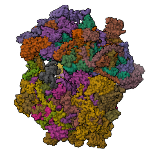 PDB 6VLZ