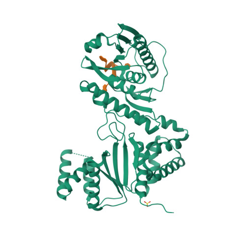 RCSB PDB - 4H6R: Structure of reduced Deinococcus radiodurans