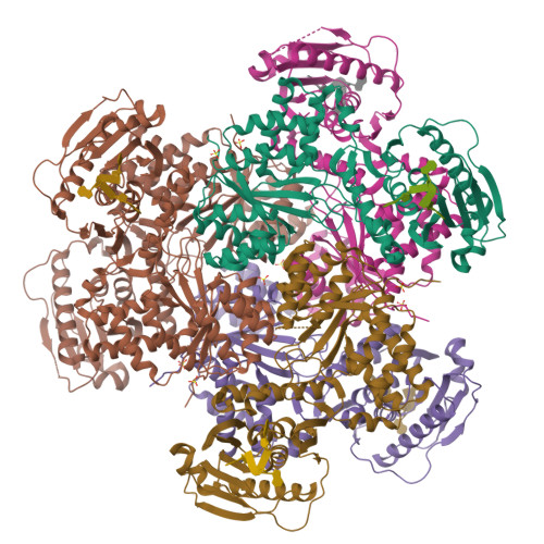 RCSB PDB - 4H6R: Structure of reduced Deinococcus radiodurans