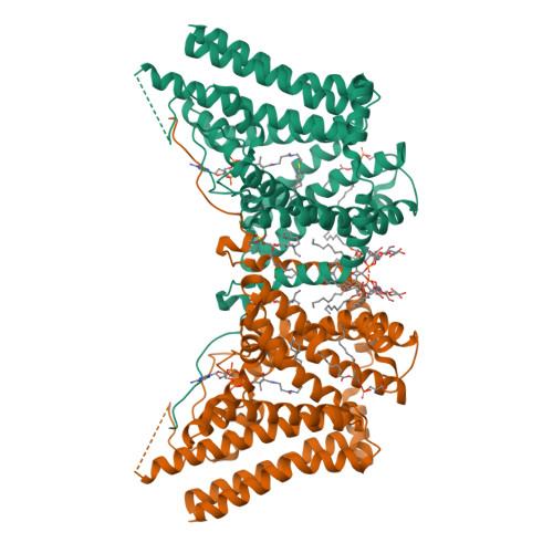 diacylglycerol structure