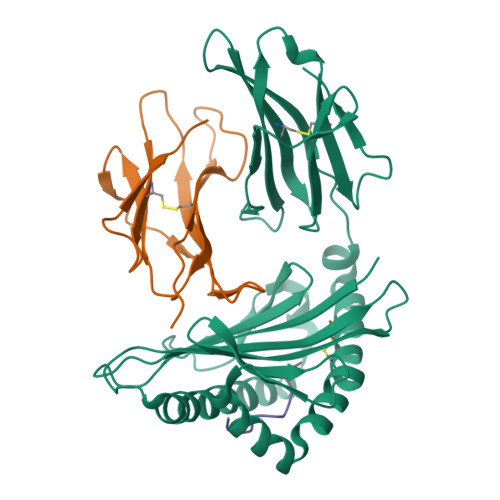 RCSB PDB - 6VR5: Complex of HLA-A2, a class I MHC, with a p53 peptide