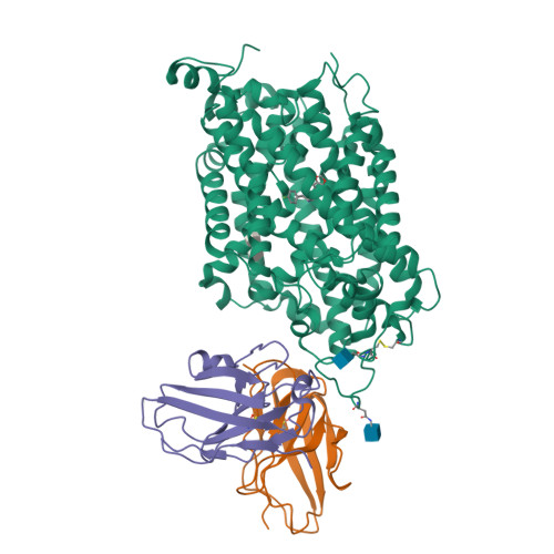 RCSB PDB - 6VRH: Cryo-EM structure of the wild-type human