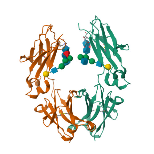 Rcsb Pdb 6vsl Crystal Structure Of A Human Fucosylated Igg1 Fc