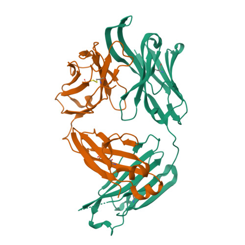 vsv-displayed hiv-1 envelope identifies broadly ne