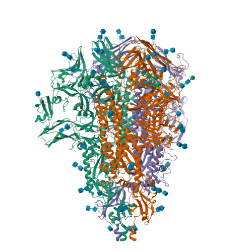 RCSB PDB - 6VV5: Cryo-EM structure of porcine epidemic diarrhea virus (PEDV)  spike protein