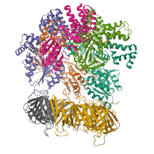 PDB 6VVO