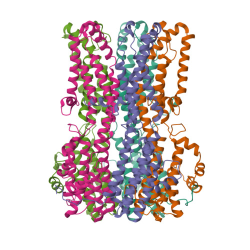 RCSB PDB - 6VX8: bestrophin-2 Ca2+- unbound state 2 (EGTA only)