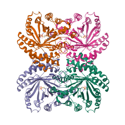 RCSB PDB - 6VYA: Crystal structure of NotF in complex with