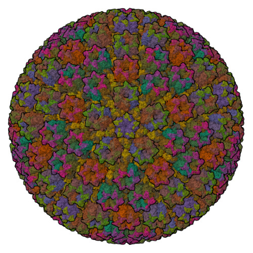 RCSB PDB - 6W19: Structures of Capsid and Capsid-Associated