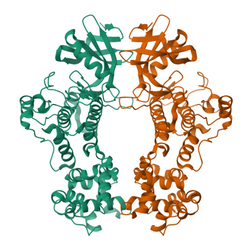 RCSB PDB - 6W3B: Structure of apo unphosphorylated IRE1