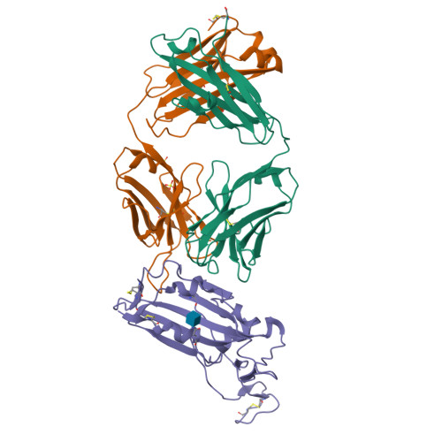 RCSB PDB - 6W41: Crystal structure of SARS-CoV-2 receptor binding