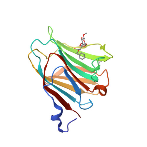 RCSB PDB - 6W4Z: Galectin-8N terminal domain in complex with Methyl  3-O-[3-O-benzyloxy]-malonyl-beta-D-galactopyranoside