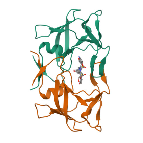 Gag-Pro polyprotein structure