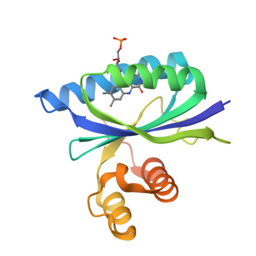 RCSB PDB - 6W72: BlsA photo-activated state