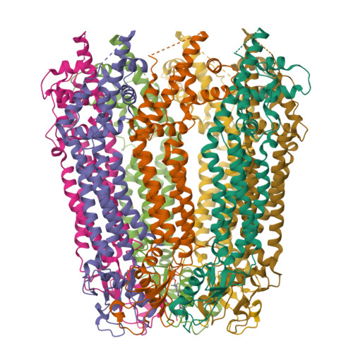 RCSB PDB - 6WBL: Cryo-EM structure of human Pannexin 1 channel