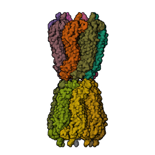 Cryo-EM structure of human heptameric pannexin 2 channel