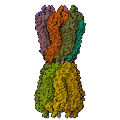 Cryo-EM structure of human heptameric pannexin 2 channel