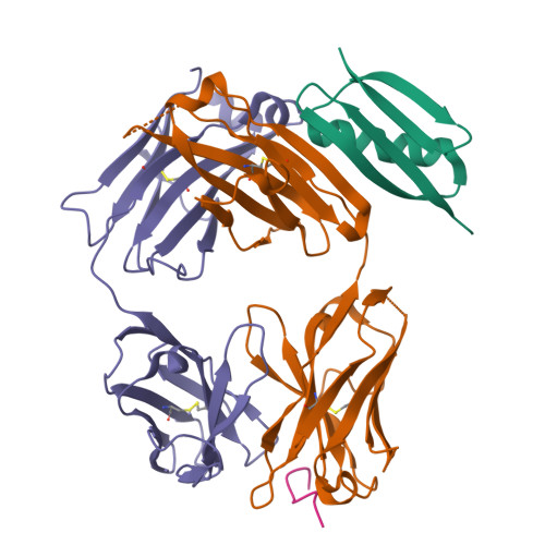 RCSB PDB - 6WFW: Crystal structure of Fab364 in complex with NPNA2