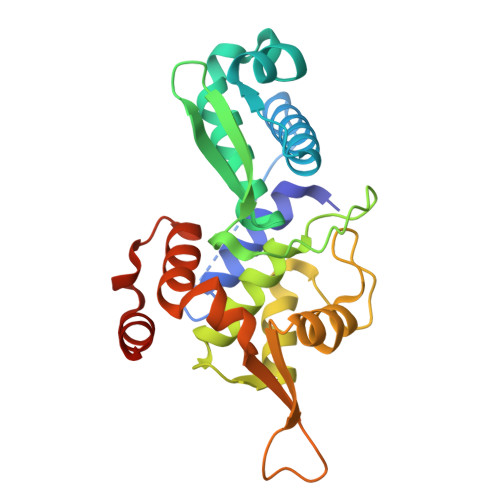 PDB 6WJH