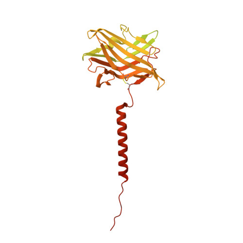 ATP6AP1 image