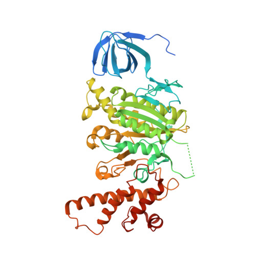 ATP6V1B2 image