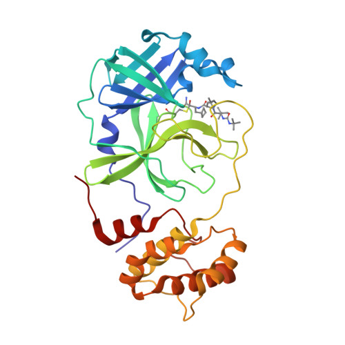 RCSB PDB - 6WNP: X-ray Structure of SARS-CoV-2 main protease bound ...