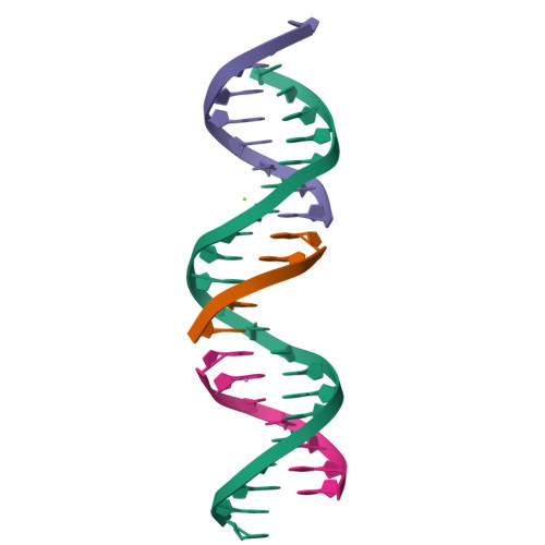 RCSB PDB - 6WSW: Self-assembly of a 3D DNA crystal lattice (4x5 duplex ...