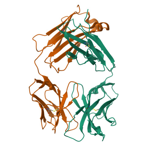 Rcsb Pdb Wt Structural Basis For The Binding Of Monoclonal