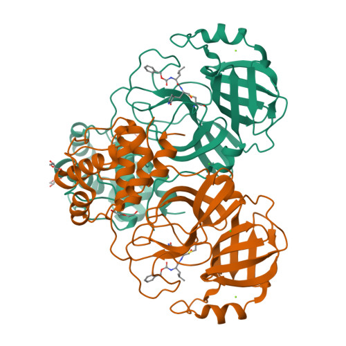 RCSB PDB - 6WTT: Crystals Structure Of The SARS-CoV-2 (COVID-19) Main ...