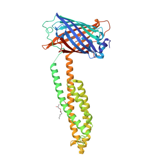 PDB 6WVD