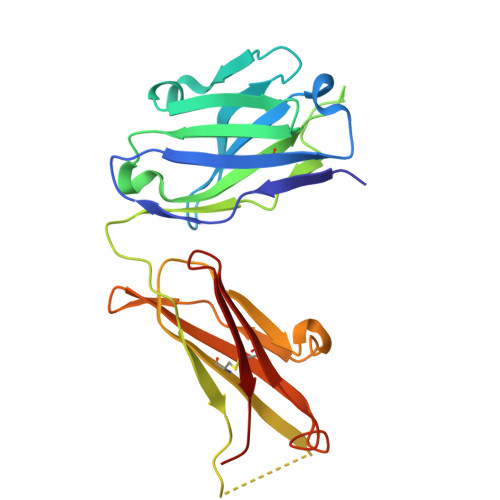 RCSB PDB - 6WX1: Antigen Binding Fragment of OKT9
