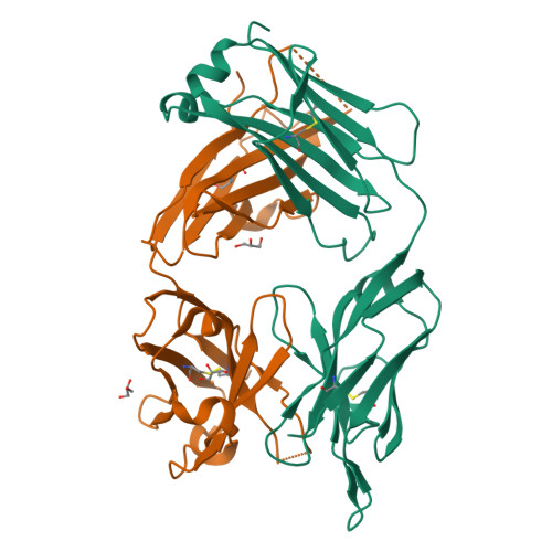 RCSB PDB - 6WX1: Antigen Binding Fragment of OKT9
