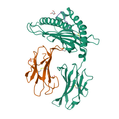 Neuraminidase structure