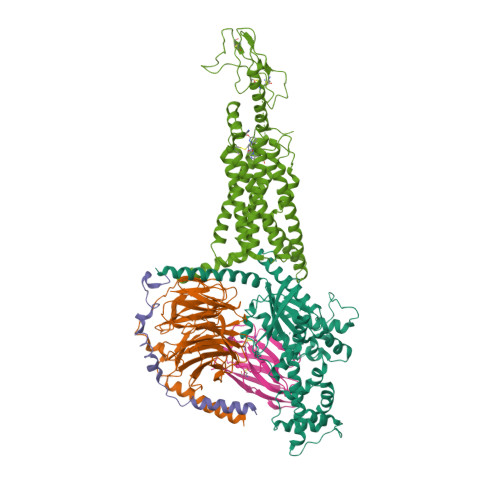 RCSB PDB - 6X1A: Non peptide agonist PF-06882961, bound to 
