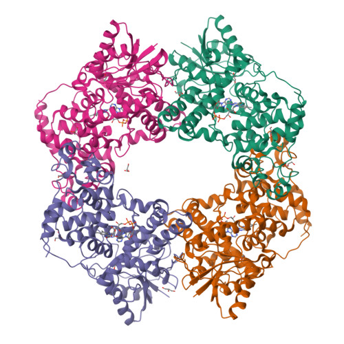 RCSB PDB - 6X24: Structural basis of plant blue light photoreceptor
