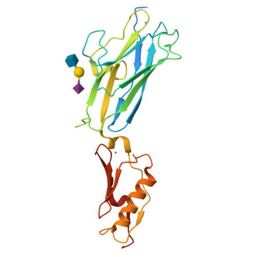 RCSB PDB - 6X3Q: Hsa Siglec and Unique domains in complex with 3'sialyl ...