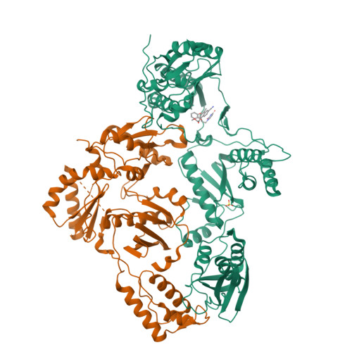 RCSB PDB - 6X4F: Crystal Structure of HIV-1 Reverse Transcriptase