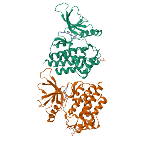 Tki様 ZIP8 antibody (20459-1-AP) | Proteintech