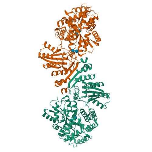 PDB 6X91
