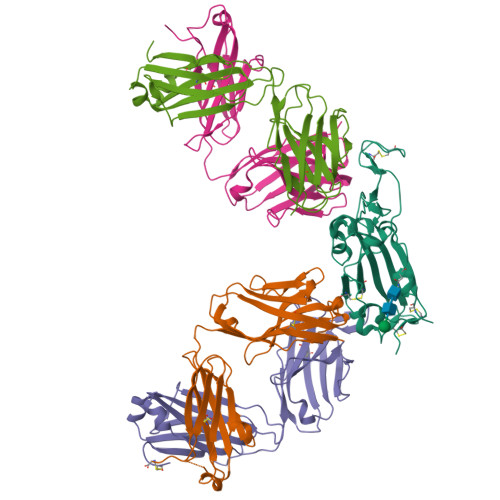 RCSB PDB - 6XC7: Crystal Structure Of SARS-CoV-2 Receptor Binding ...