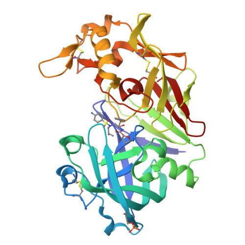 RCSB PDB - 6XCT: Porcine pepsin in complex with amprenavir