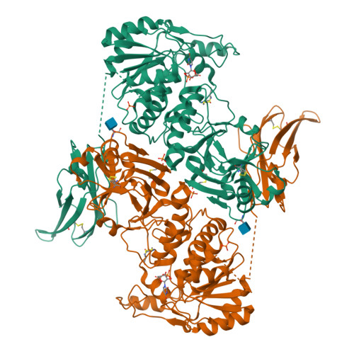 PDB 6XFI