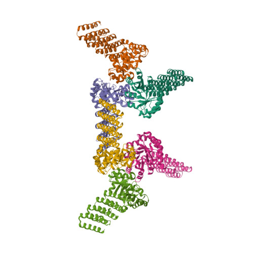 Design of multi-scale protein complexes by hierarchical building block  fusion