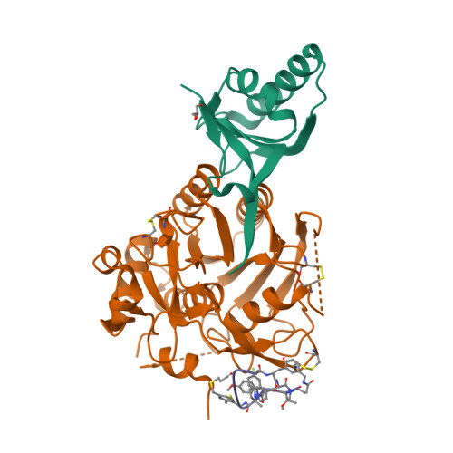 RCSB PDB - 6XIF: PCSK9(deltaCRD) in complex with cyclic peptide 83